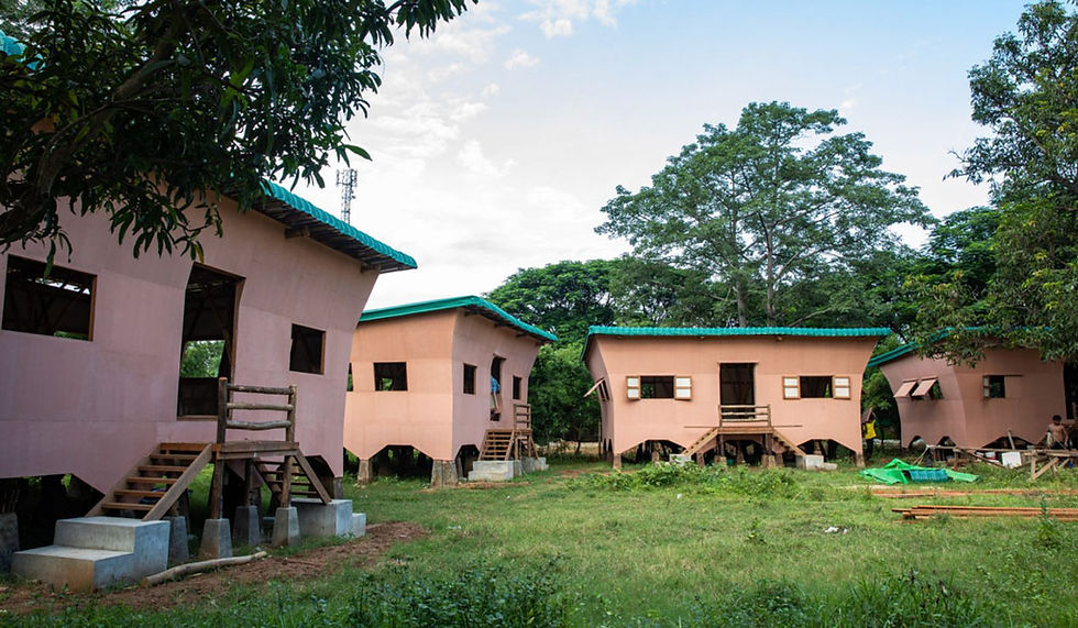 Stilted pink houses with green roofs are surrounded by trees and grass. Wooden steps lead to doors; the setting is peaceful and rural.
