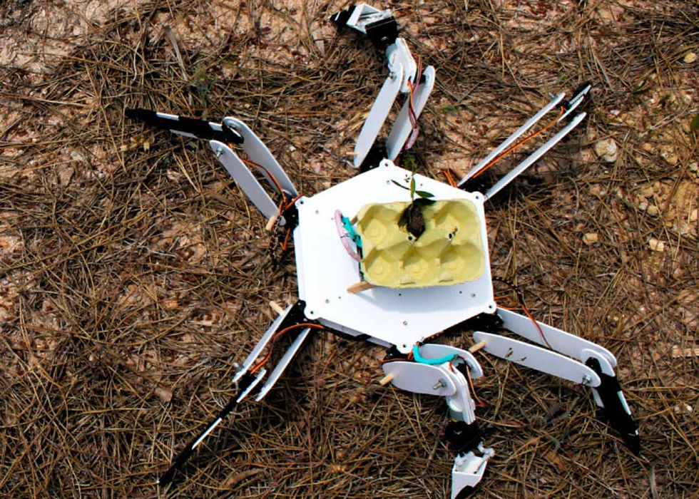 Trovador tree-planting robot prototype with six legs