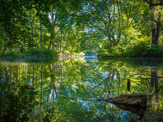 Berlin Lake Season: Study at Touro Berlin Surrounded by Nature, Water, and City Life