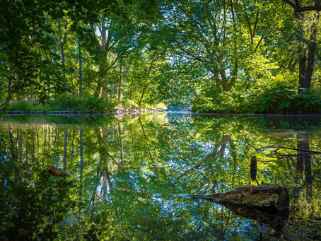Berlin Lake Season: Study at Touro Berlin Surrounded by Nature, Water, and City Life