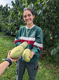 Jaymi with pawpaws.jpg