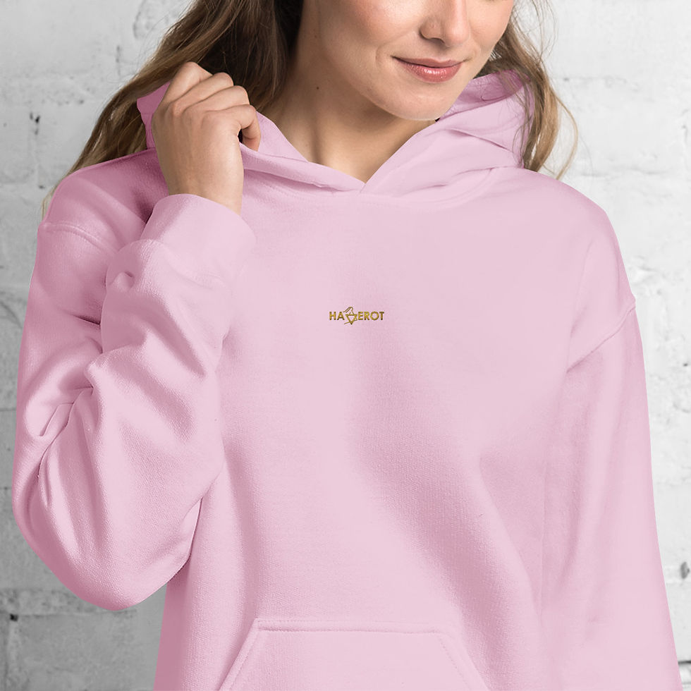 Миниатюра: Hoodie 02 - Haverot