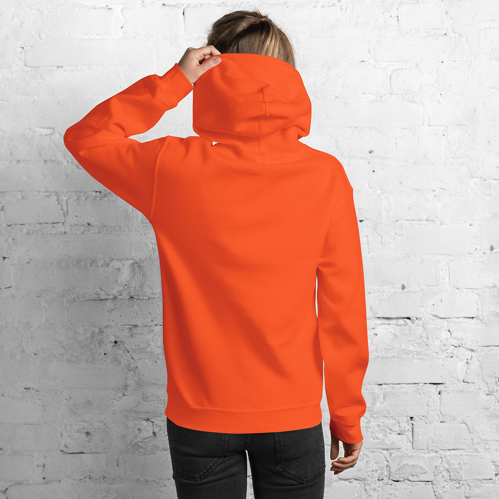 Миниатюра: Hoodie 02 - Haverot