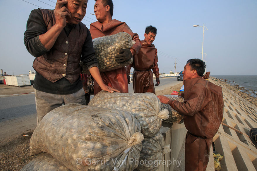 Shellfish harvesters China