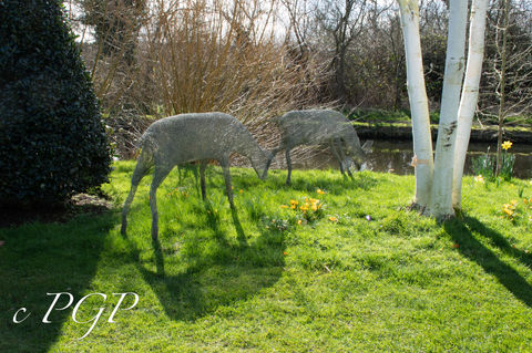 John's Garden-139.jpg
