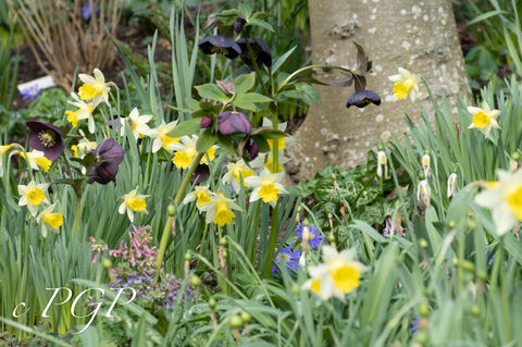 John's Garden-145.jpg