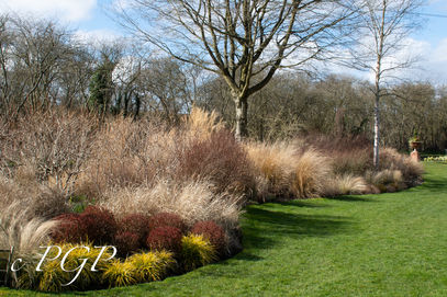 John's Garden-122.jpg