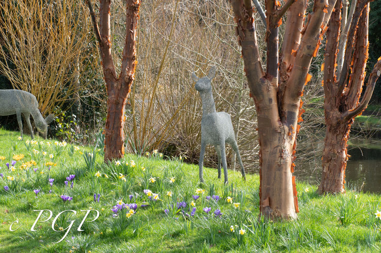 John's Garden-143.jpg