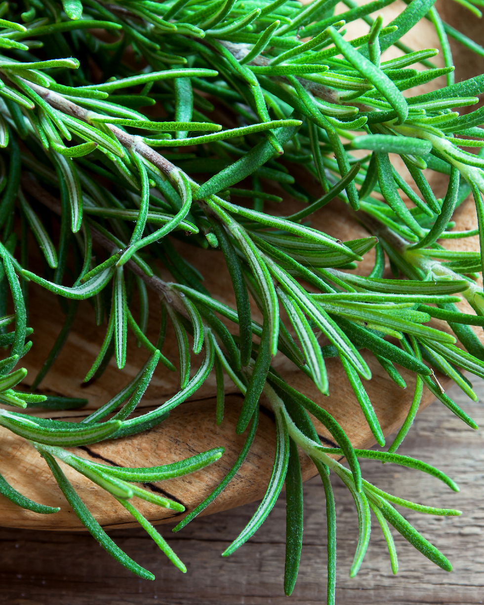 Fresh green rosemary sprigs in a wooden bowl on a rustic wooden table, creating a natural and earthy mood.