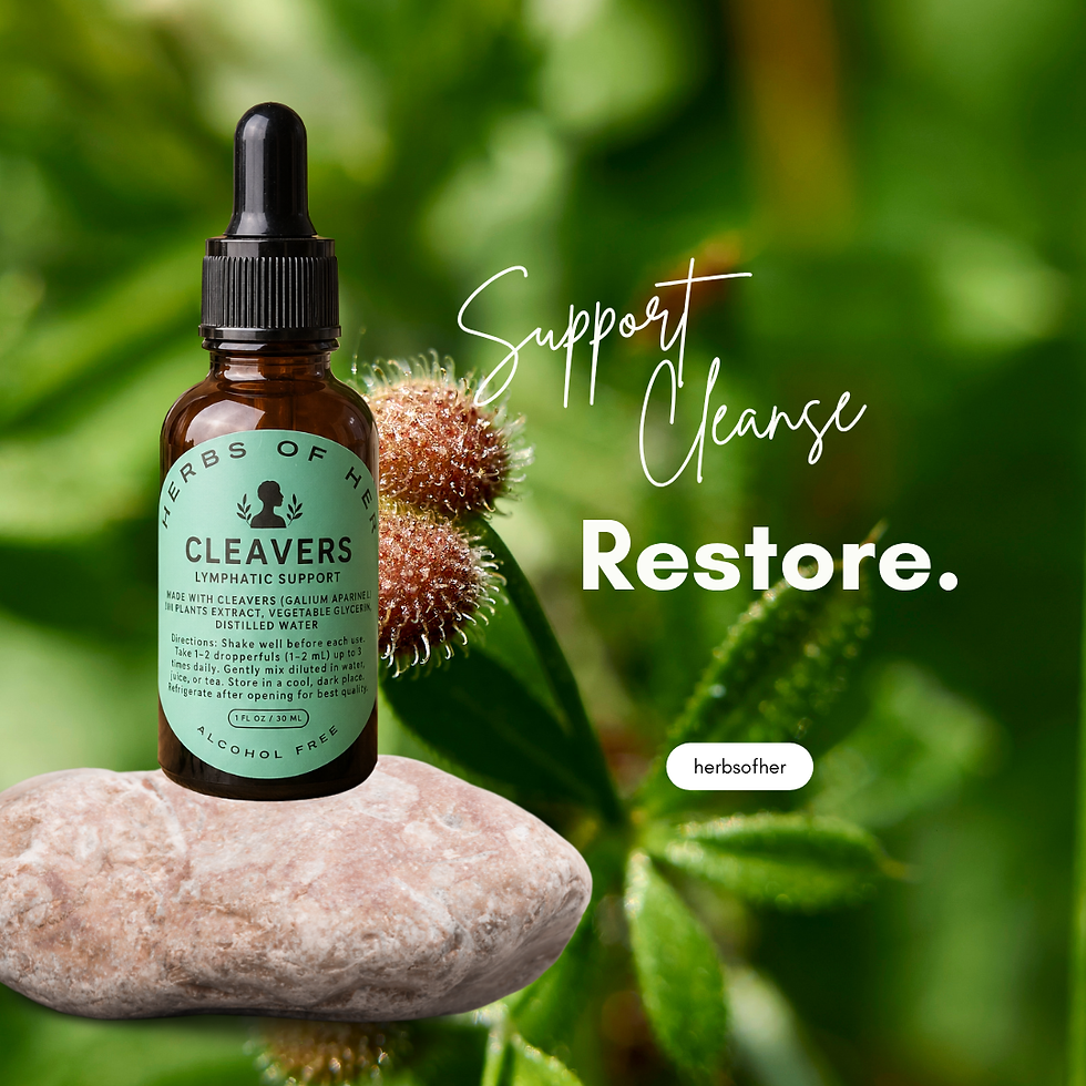 Thumbnail: Cleavers Wildcrafted Alcohol-Free Herbal Extract