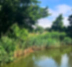 Fish Sanctuary Fence