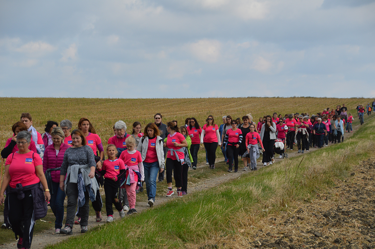 Dans les champs