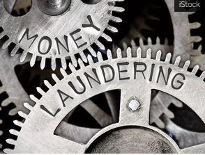 govt funds, bank frauds, money laundering, ponzi, fiancial fraud