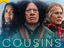 cousins poster.png
