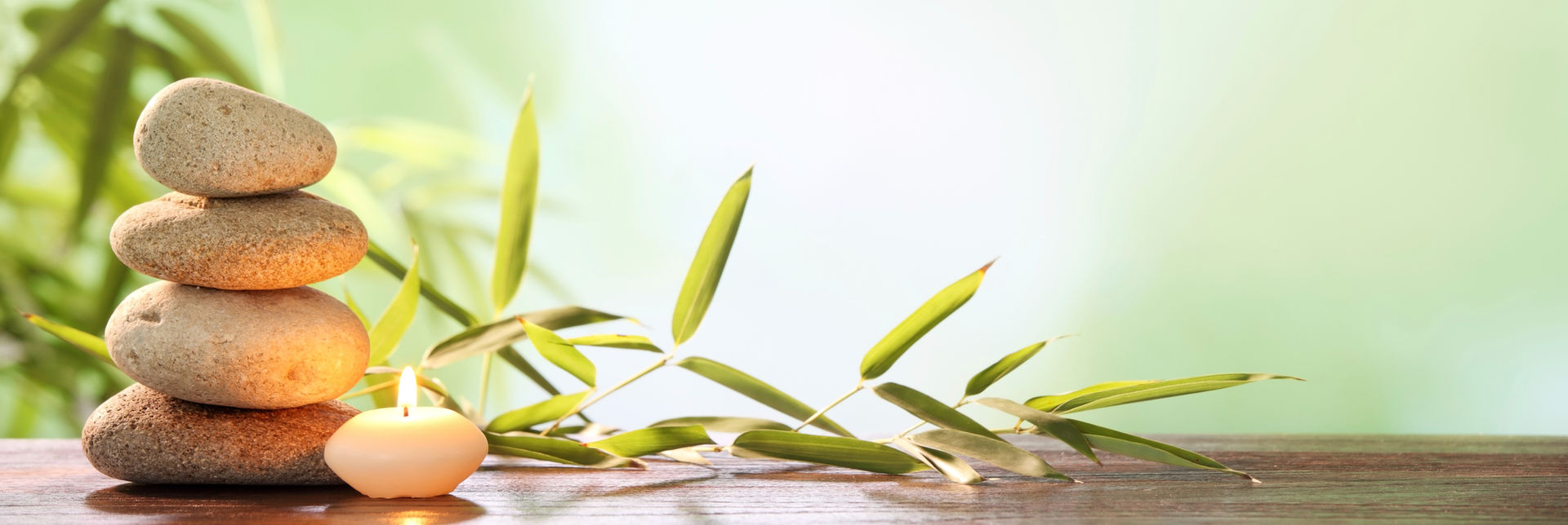 Close-up of green olive branches and leaves over water, symbolizing the pure, plant-based botanical extracts in the The Luv of Hair formulas.