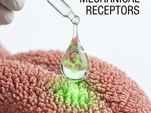 Cómo Hackear los Mecanorreceptores de la Lengua con Ácido Láctico