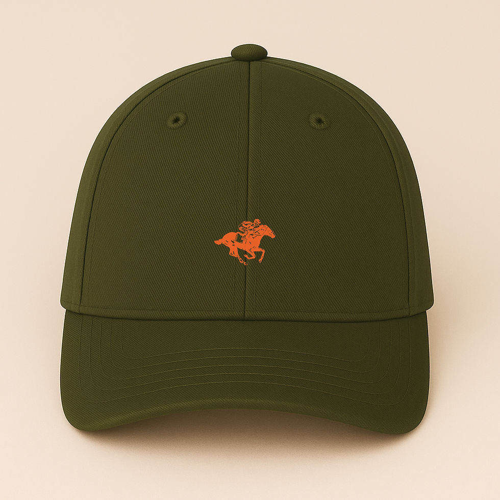 Miniature : CAP US HORSE