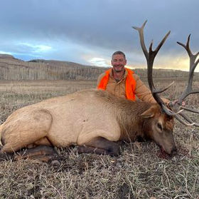 Colorado rifle elk hunts