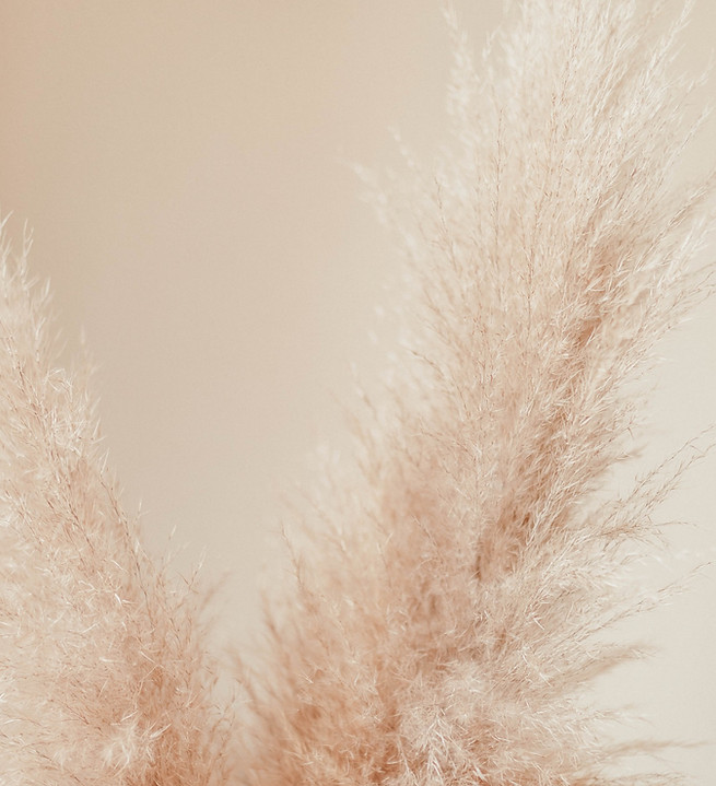 unsplash-mjsMPoNMkPw_edited.jpg