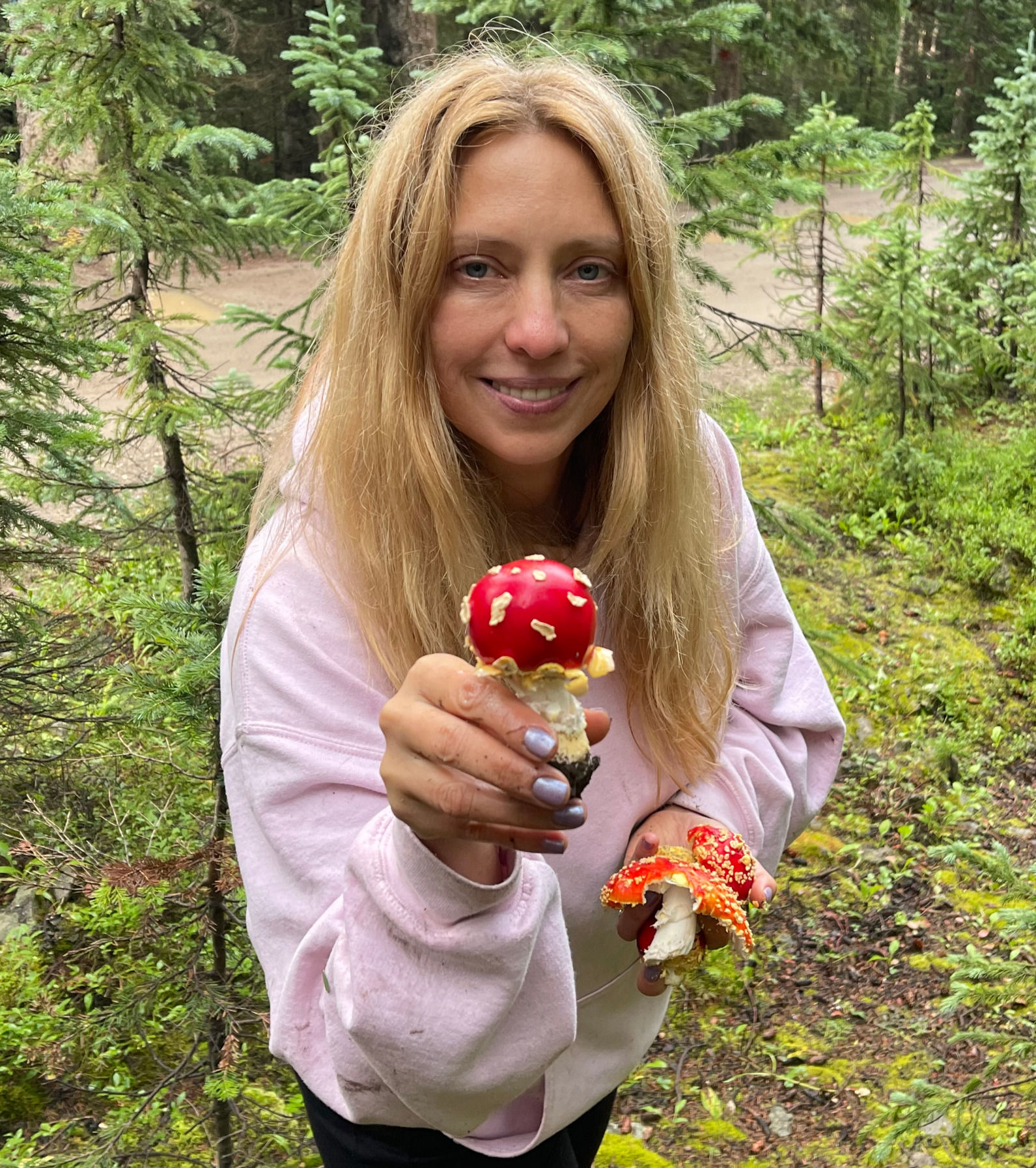 November 1st, 2025 - ONLINE MUSHROOM ID AND CERTIFICATION COURSE