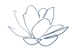 Dark Lotus-01.png