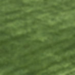 Astroturf (Artificial Grass)