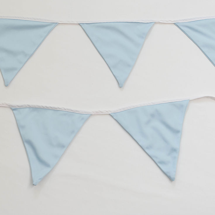 Pastel Baby Blue Bunting
