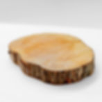 Round Wooden Log Piece