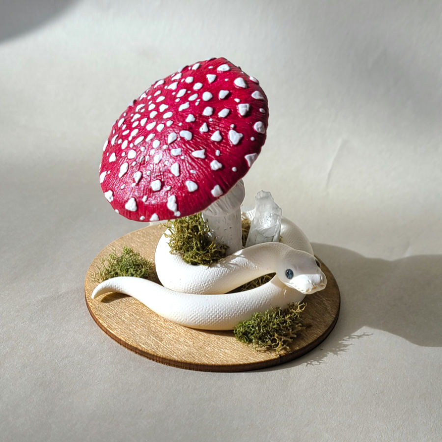 الصورة المصغرة: Blue Eyed Lucy Ball Python with Mushroom Umbrella