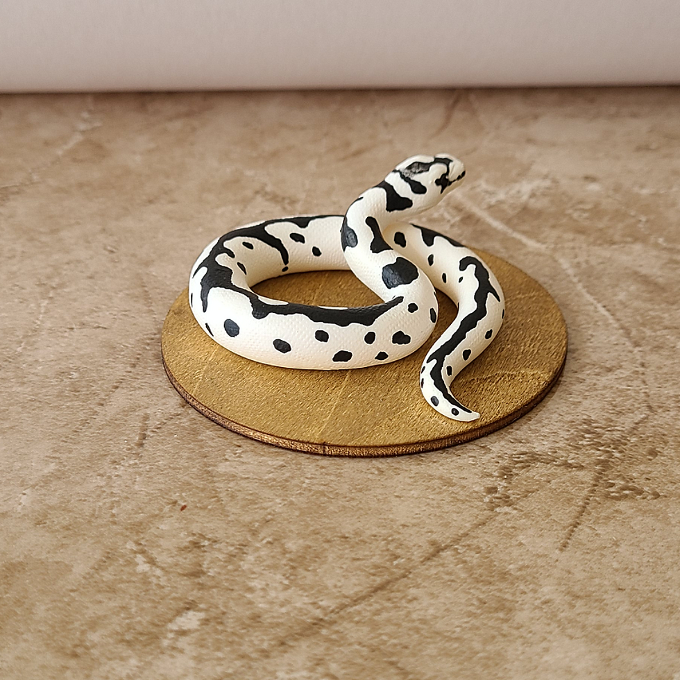 Thumbnail: Desert Ghost Axanthic Clown Ball Python