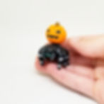 縮圖：Black Jumping Spider With Jack-O-Lantern