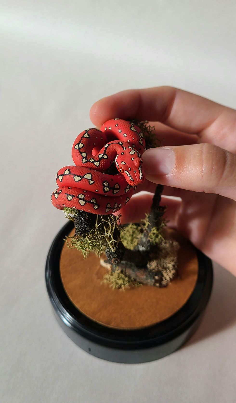 섬네일: Red Phase Green Tree Python 