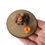 Miniatura: Jack-O-Lantern Jumping Spider
