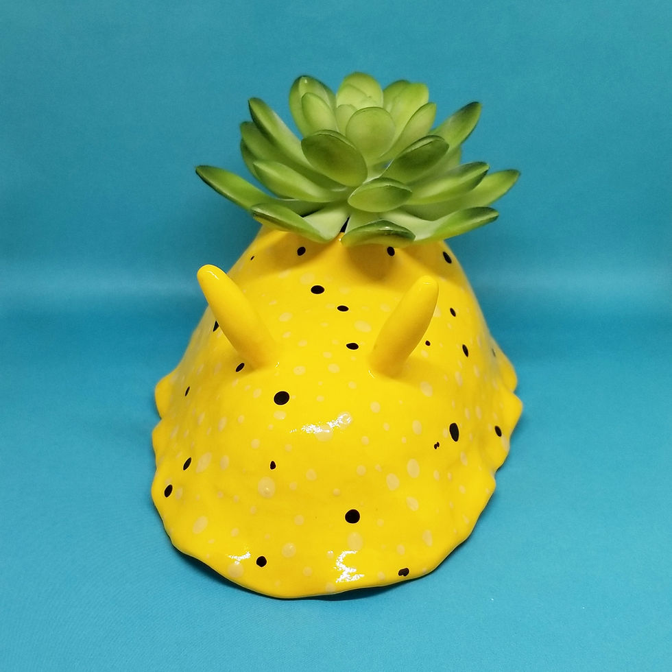 Miniatura: Sea Lemon Succulent Planter