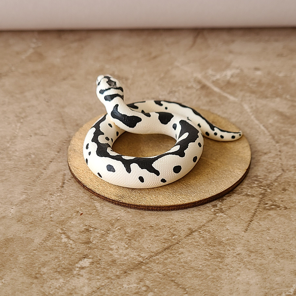 Thumbnail: Desert Ghost Axanthic Clown Ball Python