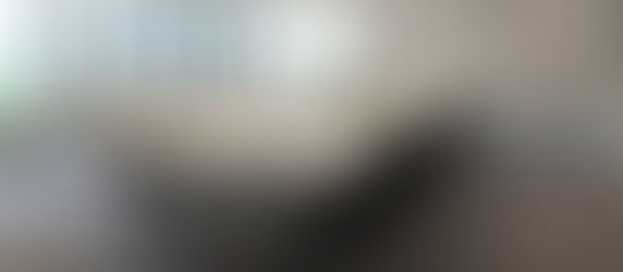 The Great Walls of Palo Alto