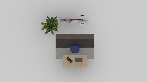 Flex Small room.jpeg