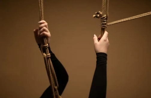 2 arms holding shibari ropes