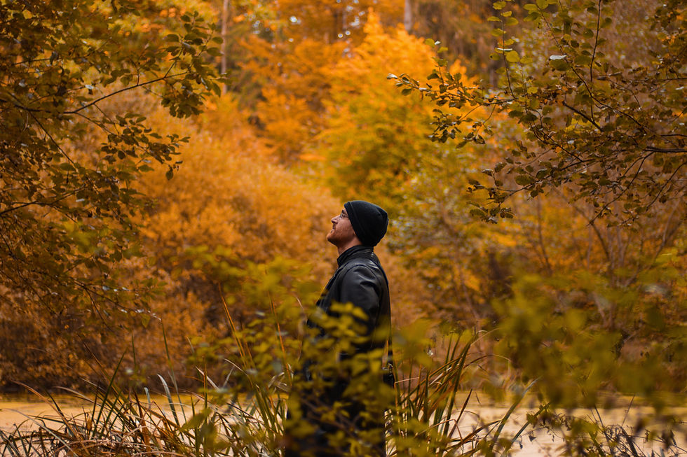Man in the autumn forest looking upward.