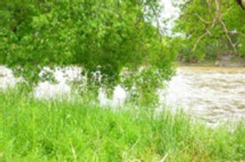 Flooding 1.jpg