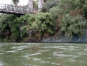 2024 Dec Bob 4 1_29 Jan Springvale Bridge P1292502 for website.jpg