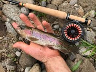 Trout in Hawaii.jpg