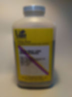 Vitta (16)_edited.jpg