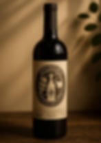 mockup 3