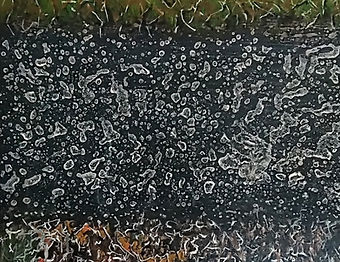 “Estuary” is a collaborative exhibition which draws inspiration from the shoreline and foreshore of Bridgewater Bays estuary environment.
Paul Davey’s paintings emerge from the many hours he has spent walking along the foreshore of the Steart Marshes on Bridgewater Bay. They show an interest, not in the horizon and space of landscape, but an engagement with the nearby, things stumbled upon or encountered when out walking. These are paintings that pay attention to the aesthetic possibility of surfaces, the formation of lichens on a stone wall, an area of cracked mud, a wall of reeds or a puddle of water.
Paul studied at Folkestone School of Art, Walthamstow College of Art and Chelsea College of Art. He has exhibited widely in London at numerous group exhibitions including the Royal Academy Summer Show and had solo exhibitions including Vortex Gallery and The London College of Furniture. He has exhibited widely in Somerset since moving here in 2008.
The sound in the exhibition is based on field recordings undertaken at different places along the shoreline of Bridgewater Bay and seeks to give a sonic sense of both the gentle and more destructive forces at play in this environment. The sound of rocks, pebbles, sand, waves and wind form the context for the traces of human voices and the sound of birds which appear and disappear throughout.
Irving Kinnersley is a composer of electroacoustic music and soundscape music, as well as composing sound for video. He studied electroacoustic composition at Bath Spa University and University of Manchester. His work has been performed internationally at numerous concerts and festivals. He was a finalist at the MUSICA NOVA international Electroacoustic competition, awarded first prize at the KLANG International Electroacoustic Competition and was awarded first place by British Electroacoustic Network. As a result his work will represent the Network at various international events.
Free entry to the exhibition only