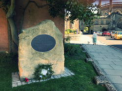 Harry Patch Memorial Wells Museum