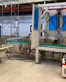 Automatic Filling and Packing Machine