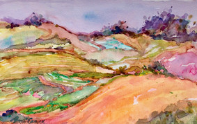 Patchwork Fields