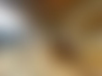 【完成見学会】3月14日(土)・15日(日)本町の家