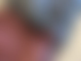 寝袋にリフォーム:思い出の羽毛布団をもう一度使える形に。